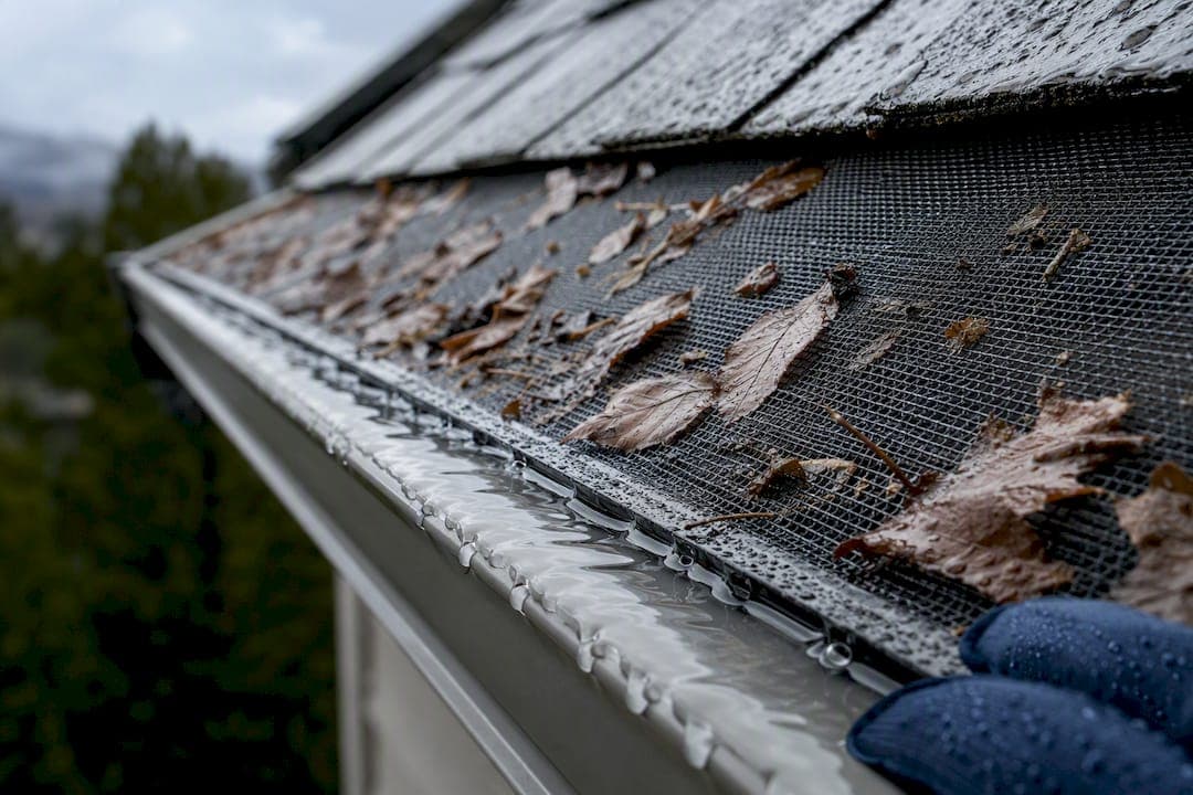 Stop guessing: 5 homeowner questions before you buy gutter guards